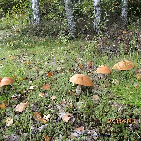Ugrin Paikka Maison d'hôtes